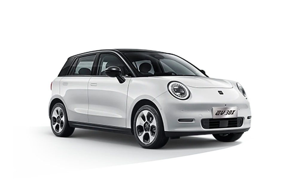 JAC EV 30X color blanco